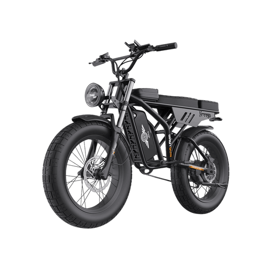 FREEGO F2 Pro 250W City & All-Terrain E-Bike