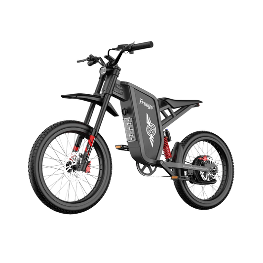 FREEGO X1 SE 250W City Commuter E-Bike