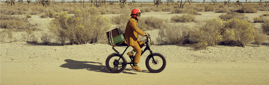 How to choose electric cargo bikes?