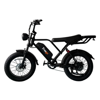 Vélo électrique Freego FTW-01
