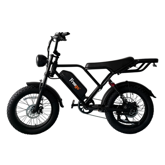 FREEGO FTW-01 250W Fat Tire E-Bike 20×4 Electric Bike