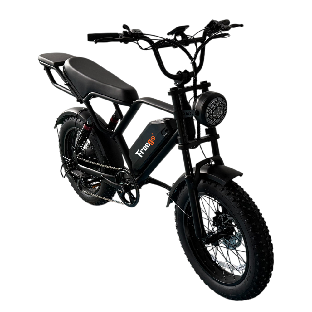 Vélo électrique Freego FTW-01