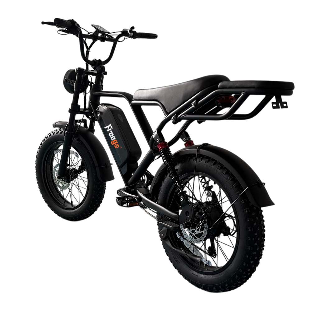 Vélo électrique Freego FTW-01