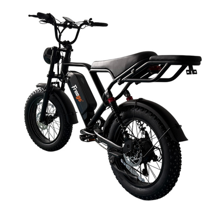 Vélo électrique Freego FTW-01