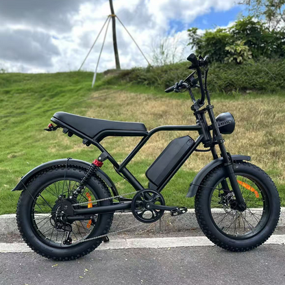 Vélo électrique Freego FTW-01