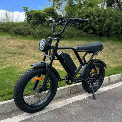 Vélo électrique Freego FTW-01