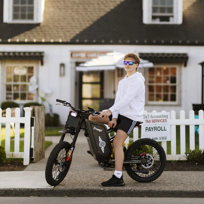 FREEGO X1 SE 250W City-Pendler-E-Bike