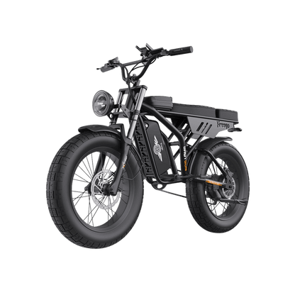 FREEGO F2 Pro 250W City & All-Terrain E-Bike