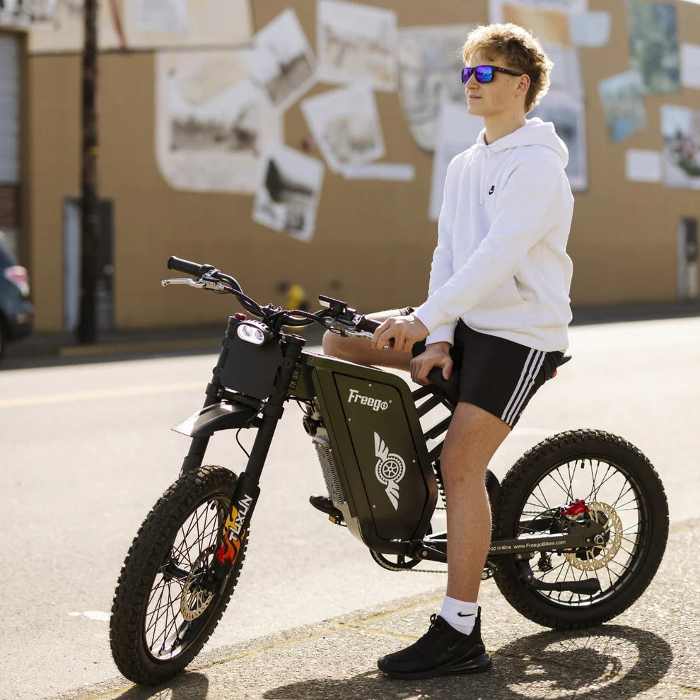 FREEGO X1 SE 250W City-Pendler-E-Bike