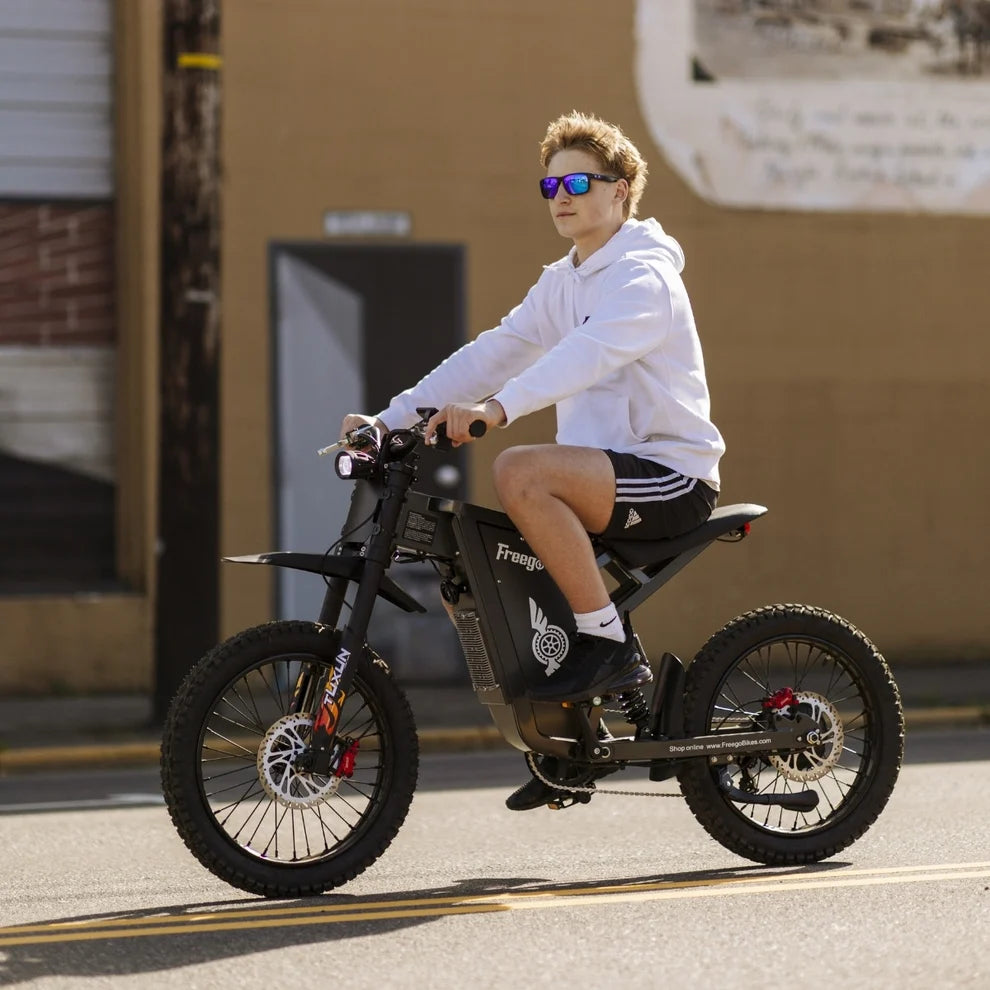 FREEGO X1 SE 250W City-Pendler-E-Bike