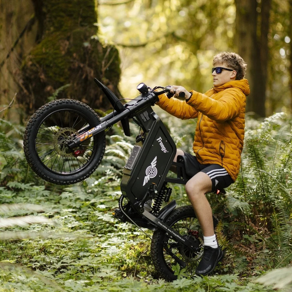 FREEGO X1 SE 250W City-Pendler-E-Bike