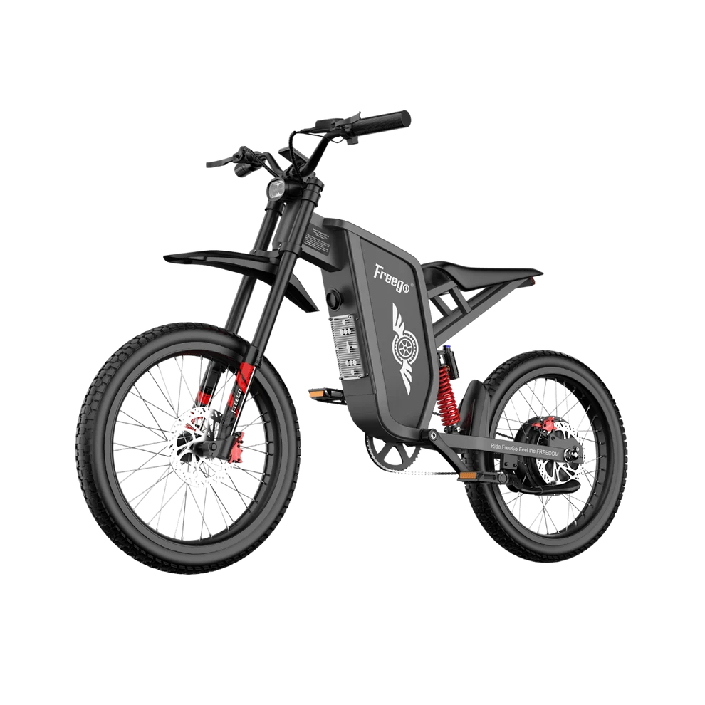 FREEGO X1 SE 250W City-Pendler-E-Bike