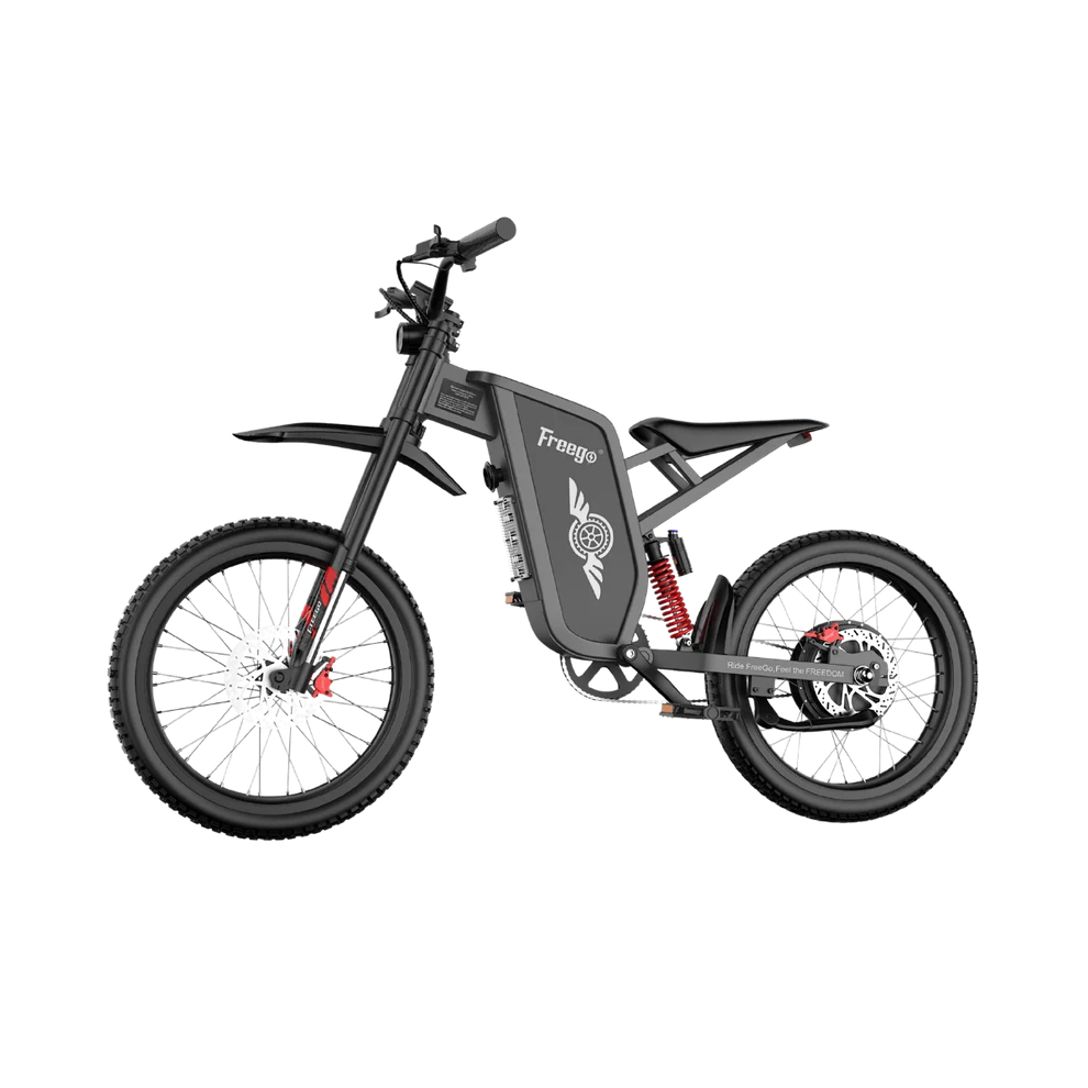 FREEGO X1 SE 250W City-Pendler-E-Bike