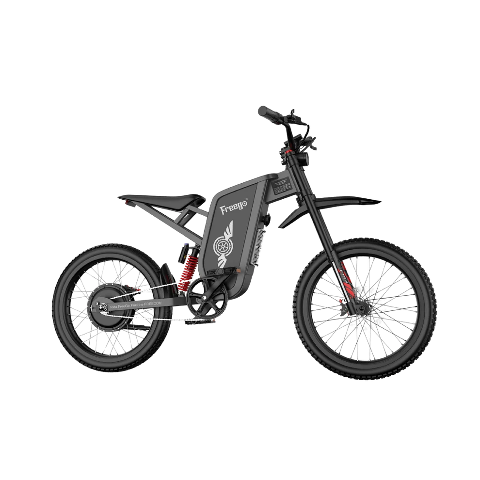 FREEGO X1 SE 250W City-Pendler-E-Bike