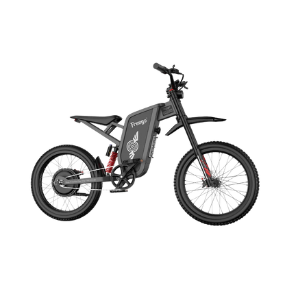 FREEGO X1 SE 250W City-Pendler-E-Bike