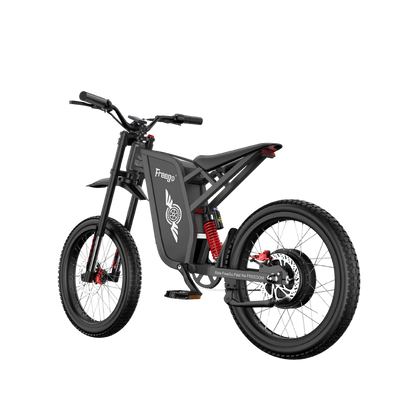 FREEGO X1 SE 250W City-Pendler-E-Bike